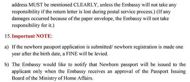 20260219 passport newborn baby 01